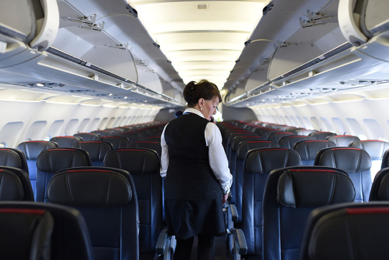 Emoi et questions après la mort d'un chien sur un vol d'United Airlines