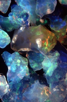 Quelques opales brutes brillant de tous leurs feux : cette pierre est devenue la gemme nationale de l’Australie, qui en est le premier producteur mondial depuis plus d’un siècle.