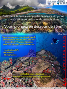 Vous plongez en dessous de 30 mètres ? Testez la science participative ! Vous plongez en dessous de 30 mètres ? Testez la science participative !