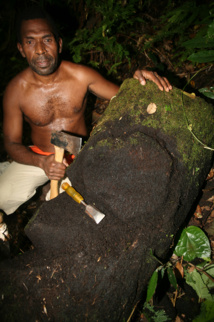 Hang Hang est un maître sculpteur du village de Ranon. Si vous vous rendez à Ambrym, allez à sa rencontre, il vous montrera son gisement de fougères en forêt. Hang Hang est un maître sculpteur du village de Ranon. Si vous vous rendez à Ambrym, allez à sa rencontre, il vous montrera son gisement de fougères en forêt.