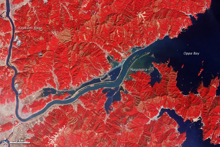 Japon: cinq blessés dans un séisme de magnitude 5,6 Japon: cinq blessés dans un séisme de magnitude 5,6