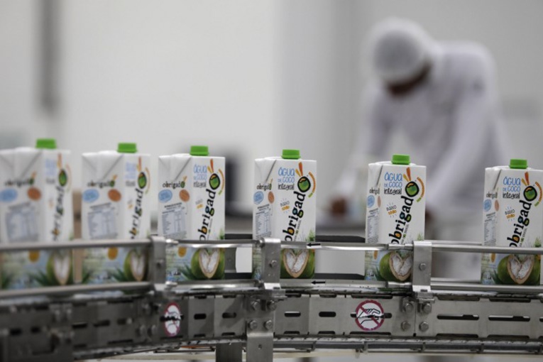 La soif d'eau de coco stimule la production brésilienne La soif d'eau de coco stimule la production brésilienne