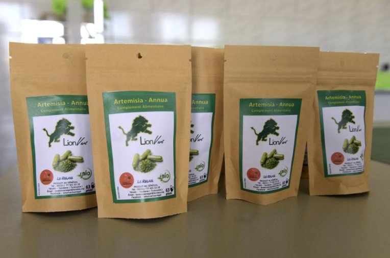 L'artemisia, remède "naturel" controversé contre le paludisme L'artemisia, remède "naturel" controversé contre le paludisme