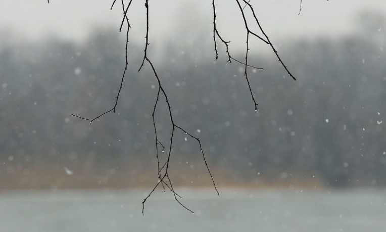 Un célèbre avocat américain se suicide par le feu pour dénoncer la pollution Un célèbre avocat américain se suicide par le feu pour dénoncer la pollution