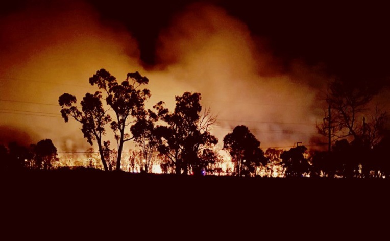 Un incendie de forêt fait rage à Sydney Un incendie de forêt fait rage à Sydney