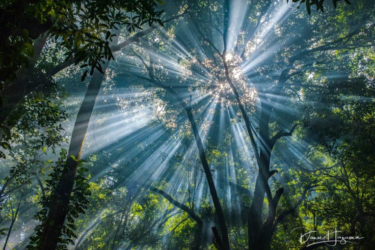Expo photo: « De la nature des choses » à la galerie Winkler