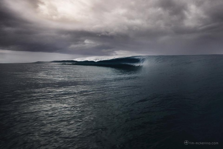Expo photo: « De la nature des choses » à la galerie Winkler