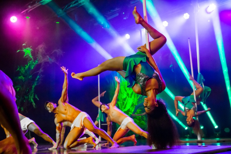 Le pole dance. Crédit Facebook. Glendy Blackstone Le pole dance. Crédit Facebook. Glendy Blackstone