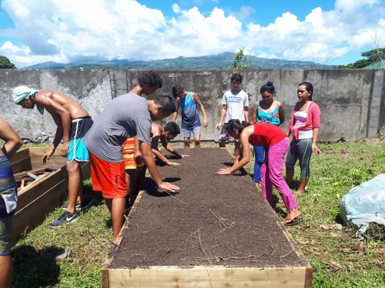 Permaculture: les élèves du lycée agricole de Moorea transmettent leur savoir faire