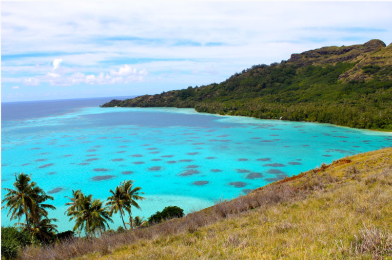 Les Gambier furent protégées par les prêtres des négociants sans foi ni loi qui souhaitaient faire main basse à vil prix sur les nacres d’un lagon exceptionnellement riche. Ici les hauts fonds devant Akamaru, depuis le sommet de l’île Makapu. Les Gambier furent protégées par les prêtres des négociants sans foi ni loi qui souhaitaient faire main basse à vil prix sur les nacres d’un lagon exceptionnellement riche. Ici les hauts fonds devant Akamaru, depuis le sommet de l’île Makapu.