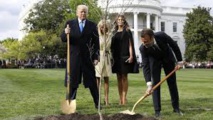 Mais où est passé l'arbre planté par Trump et Macron ? Mais où est passé l'arbre planté par Trump et Macron ?