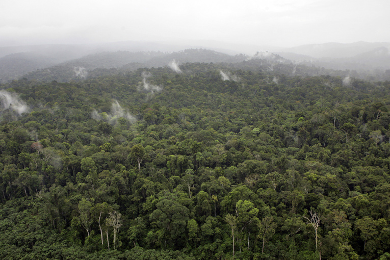 Guyane : deux morts, un blessé grave dans un accident d'hélicoptère Guyane : deux morts, un blessé grave dans un accident d'hélicoptère