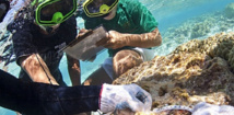 Programme d'inventaire de la biodiversité marine de Tuvalu (Sciences et avenir)