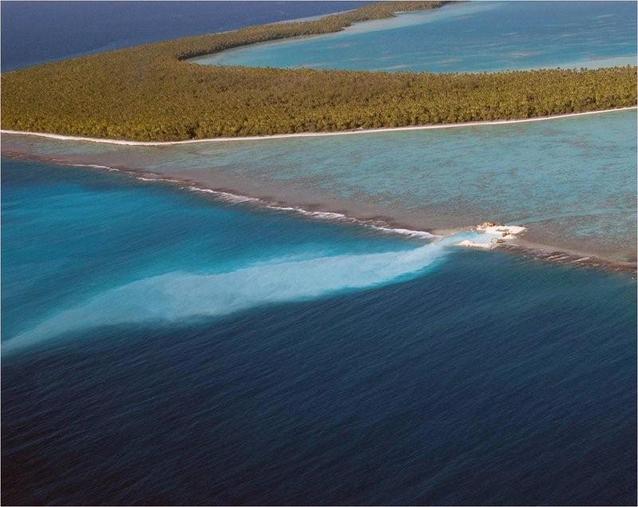 Le Collectif No To’u Fenua & Moruroa e Tatou créent les journées de l'environnement Polynesiennes