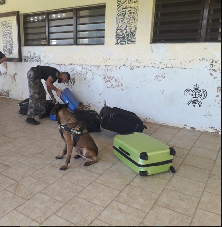 Armes, scènes de crime, stupéfiants : une journée de formation pour les muto'i Armes, scènes de crime, stupéfiants : une journée de formation pour les muto'i
