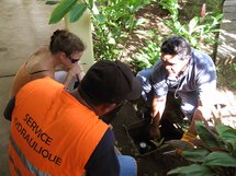 Un premier pas pour l’amélioration du réseau hydraulique de Pirae