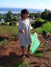 EDT lance une campagne de sensiblisation sur les dangers des cerfs volants à proximité des lignes électriques