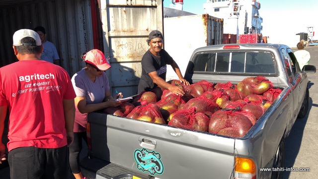 Samedi dernier, il a fait venir 10 tonnes de pastèques sur Papeete.