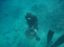 TEFANA WATER DAYS, nettoyage du lagon et course sous-marine