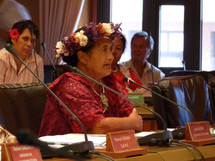Marguerite TAPATOA, représentante du Comité « Tahiti I Te Rima Rau »: Marguerite TAPATOA, représentante du secteur de l’artisanat à Tahiti, a voté contre le projet d’avis défavorable de la commission « éducation-emploi » estimant que les as