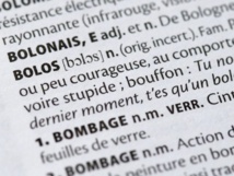 Un "schmutz" sous la "gouttine": les nouveaux mots des dictionnaires Un "schmutz" sous la "gouttine": les nouveaux mots des dictionnaires