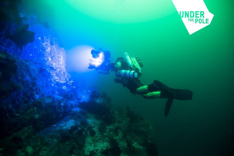 Les scientifiques de l'expédition Under the Pole vont passer un an à étudier nos coraux et requins à 100 mètres de profondeur, une zone peu connue