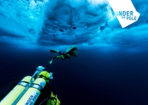 Après la banquise Arctique, place à l'écosystème polynésien ! Après la banquise Arctique, place à l'écosystème polynésien !