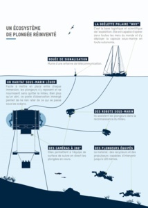 Une expédition scientifique pour étudier nos coraux, nos requins et un habitat sous-marin Une expédition scientifique pour étudier nos coraux, nos requins et un habitat sous-marin