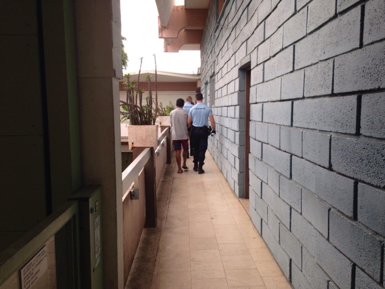 Justice : Six mois de prison ferme pour 4 600 pieds de Pakalolo