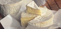 Cri d'alarme de chefs pour le camembert au lait cru Cri d'alarme de chefs pour le camembert au lait cru