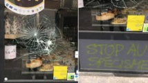Lille: une boucherie vandalisée, la propriétaire dénonce des militants vegan