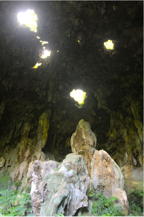 Le plafond de la vaste caverne creusée par les eaux de ruissellement dans l’ancien récif de corail est effondré en plusieurs endroits ; tôt le matin, le soleil illumine ce théâtre de personnages immobiles en aragonite.