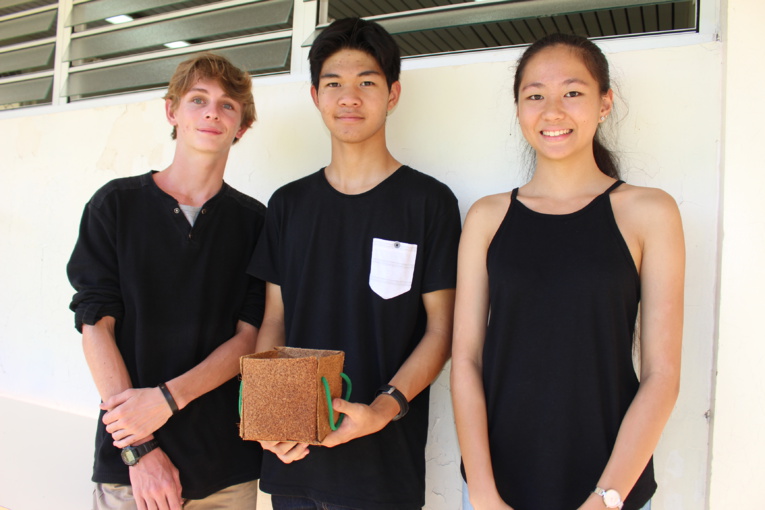 Trois élèves du lycée Paul Gauguin remportent le concours de présentation de TPE Trois élèves du lycée Paul Gauguin remportent le concours de présentation de TPE