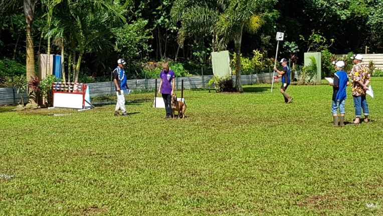 Club canin de Pirae : un concours d'obéissance prévu le 2 juin Club canin de Pirae : un concours d'obéissance prévu le 2 juin