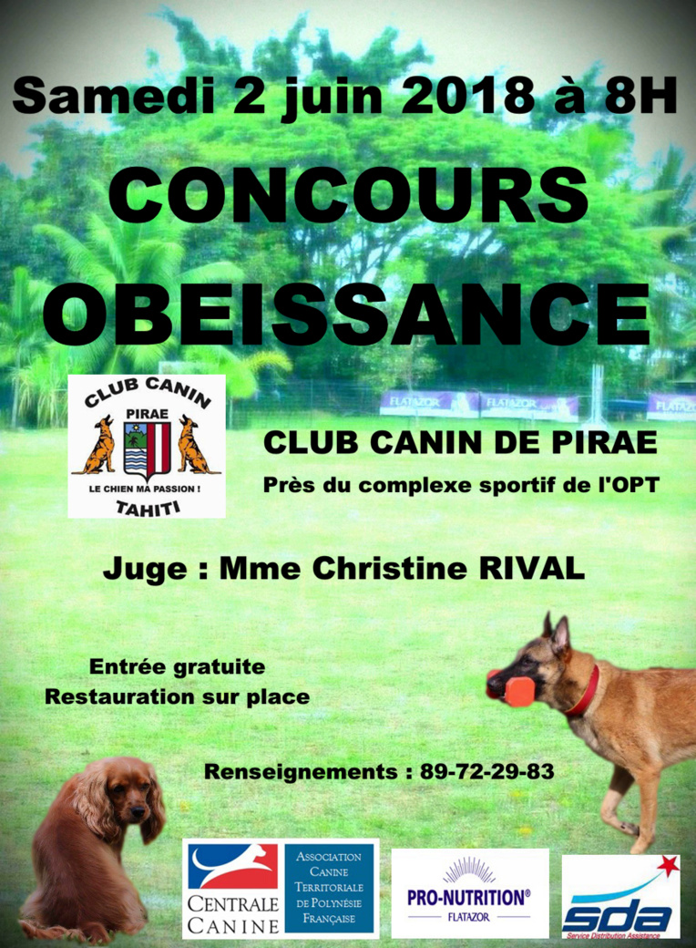 Club canin de Pirae : un concours d'obéissance prévu le 2 juin Club canin de Pirae : un concours d'obéissance prévu le 2 juin