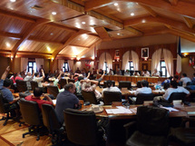 L’avis a ainsi été adopté par 26 voix pour, 3 contre et 6 abstentions.