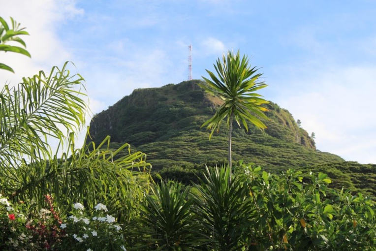 La biodiversité, c'est quoi?