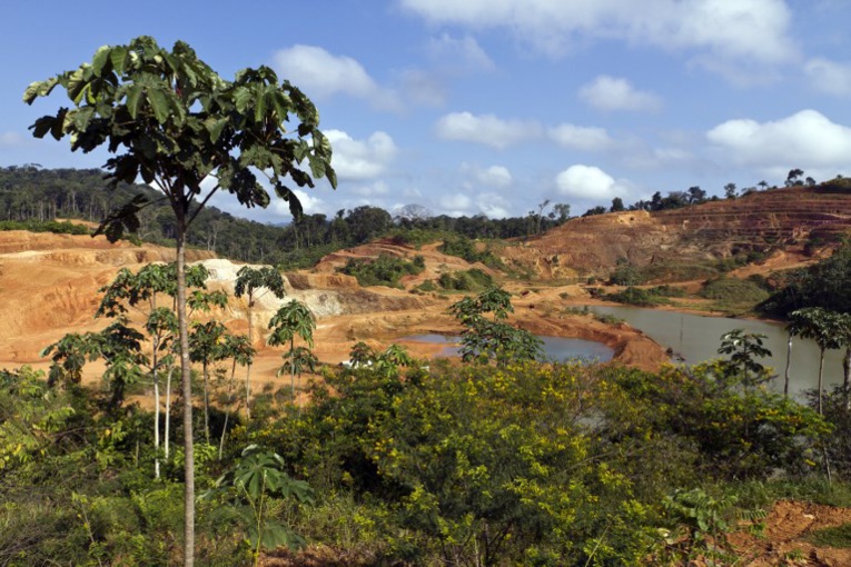 Permis minier: l'Etat condamné à verser 500.000 euros à la collectivité territoriale de Guyane