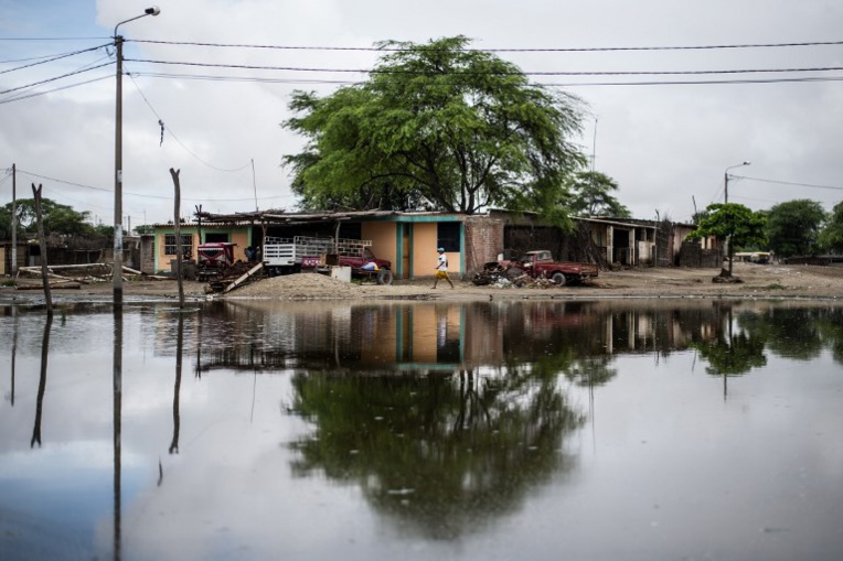 Plainte de familles contre l'UE et sa politique climat jugée "insuffisante" Plainte de familles contre l'UE et sa politique climat jugée "insuffisante"