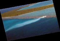 No to'u Fenua milite pour le respect de l'environnement et la protection de la santé.