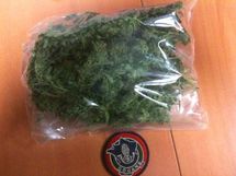 Un cycliste ... en herbe