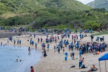Hong Kong: plus de 2.000 bénévoles nettoient une plage prisée des tortues