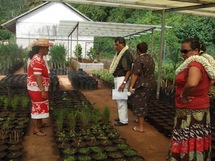 Six nouveaux projets d’investissement pour Tahaa