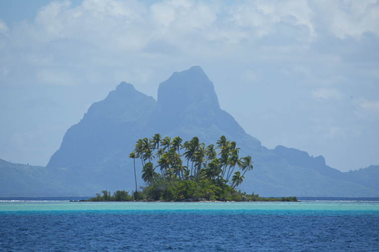 Au total, la Polynésie française accueille 14 602 visiteurs en janvier, dont 11 910 touristes et 3 145 excursionnistes. (Photo : Tahiti Tourisme)