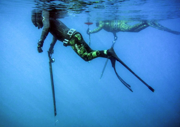 Au Liban, des pêcheurs militent pour préserver la faune marine...avec leur harpon