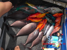 De belles prises pour ce memorial!