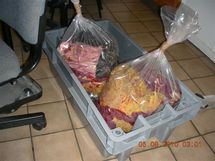 Saisie des douanes: Triste fin pour deux tortues marines protégées