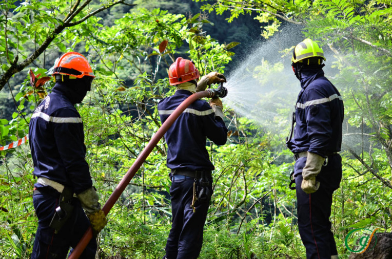 Lutte contre les feux de forêts : quinze pompiers en formation Lutte contre les feux de forêts : quinze pompiers en formation