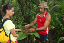 Heimana offrant à une touriste sa récolte de curcuma.