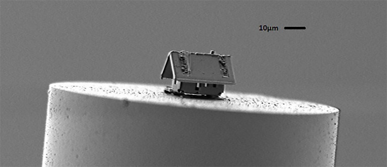 La "plus petite maison du monde" repousse les limites de l’extrêmement petit La "plus petite maison du monde" repousse les limites de l’extrêmement petit